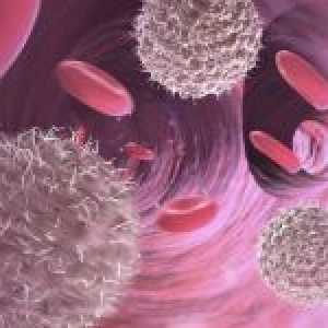 Što je leukocitoza i što je opasno?