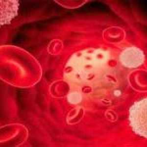 Razlozi za pad neutrofila u krvi i metode korekcije