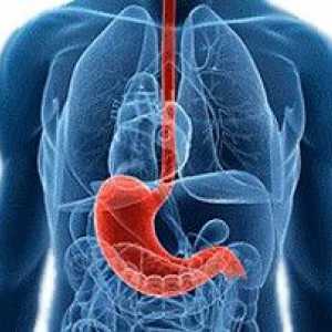 Dijetalna hrana u gastro intestinalne bolesti: recepti