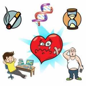 Faktori rizika za bolesti srca i krvnih žila: prirođena, stekao, uspio