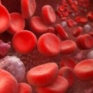 Hematokrit u krvi u normalnim uvjetima i razlozima za njegovu promjenu