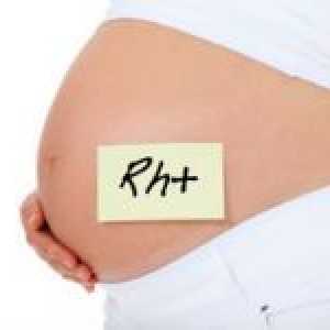 Što trebate znati o Rh faktoru na fazi planiranja trudnoće