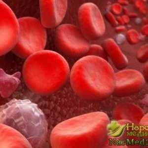 Hematologija upozorava kako manifestirati i liječi trombocitopeniju