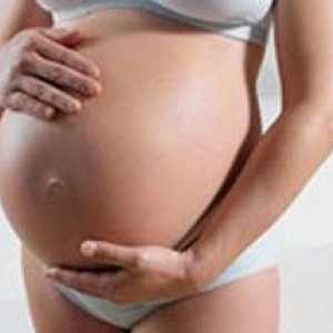 Genitalni herpes u trudnoći - što je nužno potrebno znati