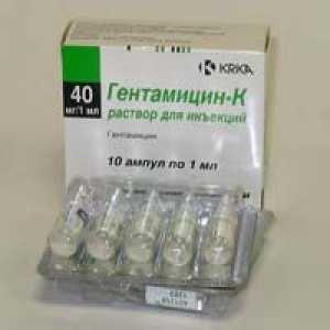 Gentamicin upute za uporabu