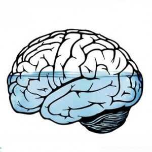 Hidrocefalusa (edem mozga): uzroci, simptomi, kako se postupa, učinci