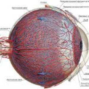 Konjunktive hiperemija oka
