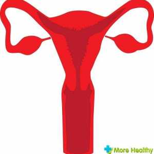 Hiperplazija endometrija: uzroci glavnih simptoma, struganje