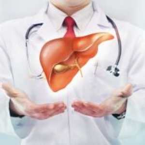Hipoehogene formacija u jetri: Simptomi i dijagnoza pomoću ultrazvuka