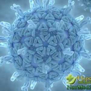 Glavni simptomi rotavirus, nacionalnog tretmana i prehrane nakon bolesti