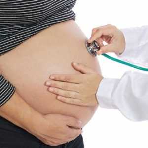 Klamidija u krvi tijekom trudnoće