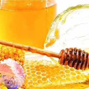 Učinkovito liječenje želuca aloje i meda