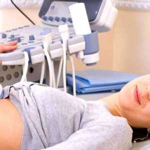 Kako ultrazvuk slezene?