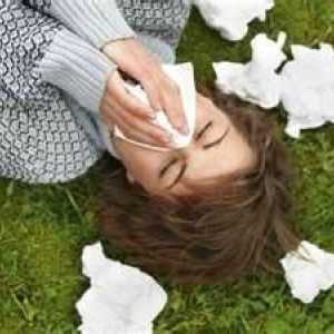 Kako liječiti sezonskih alergija narodnih lijekova?