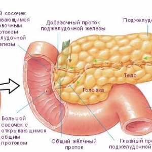 Da li tumor pankreasa opasan?