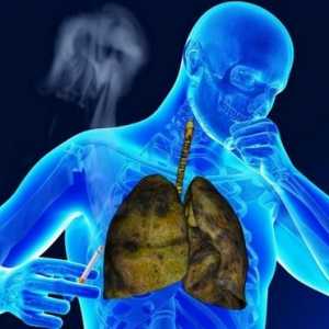 Kako očistiti pluća od pušača u kući: pročišćavanje pluća i bronha nikotina
