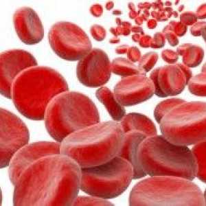 Kako povećati hemoglobina u krvi