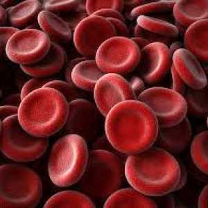 Kako povećati trombocita u krvi?