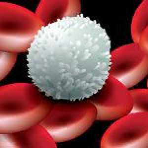 Kako podići razinu bijelih krvnih stanica