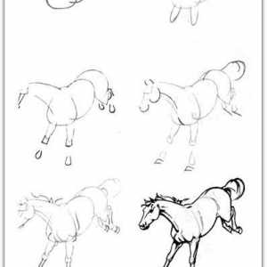 Kako nacrtati konja olovku: 20 lekcije u fazama