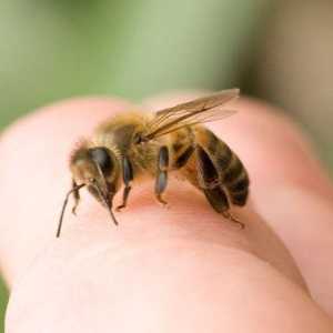 Kako ukloniti otekline nakon uboda pčele