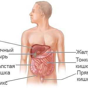 Značajke MR trbušne šupljine