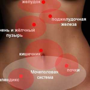 Što uzrokuje grčeve u abdomenu odraslih?