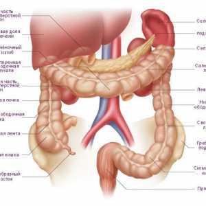 Simptomi i liječenje raka debelog crijeva