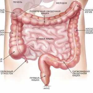 Simptomi i tretman bolesti debelog crijeva Metode poprečni