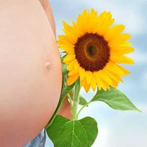 Što je žuto tijelo u trudnoći