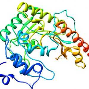 CK (kreatin kinaza, kreatin fosfokinaze) u krvi: to je to uzrokuje podizanje enzima.