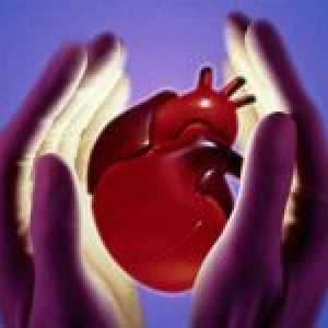 Koronarnih žila srca