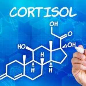 Kortizol u krvi: dijagnoze i stopa hormona