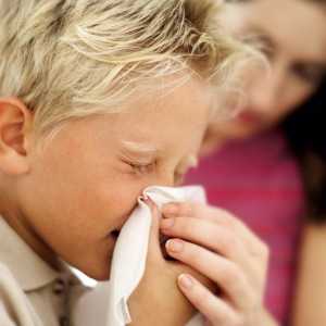 Liječenje i zaštita od gripe i prehlade narodnih lijekova.