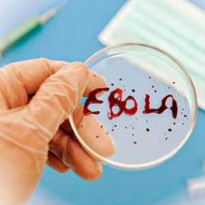 Ebola: gdje je fiksna, znaci, za, da li je moguće izliječiti prevencije infekcije
