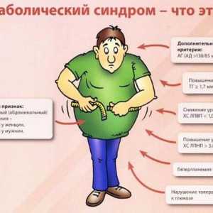 Metaboličkog sindroma (sindrom X)