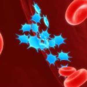Metode povećanja razine trombocita u krvi