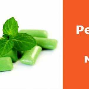 Pepermint - recepti tradicionalne medicine