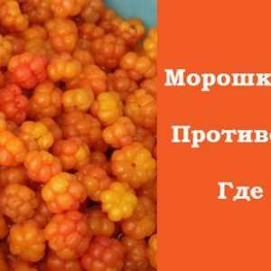 Močvarna jagoda - korisna svojstva sjevernog Orange