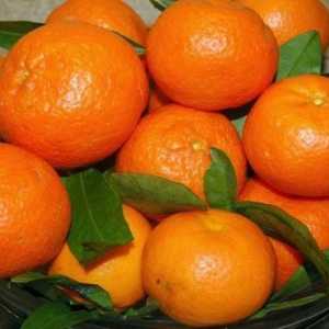 Možemo li mandarine s dijabetesom tipa 2?
