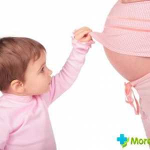 Mogu li uzeti Motherwort forte za vrijeme trudnoće?