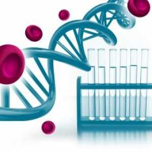 Mutacija gena ofhemostasis: manifestacijama i posljedicama