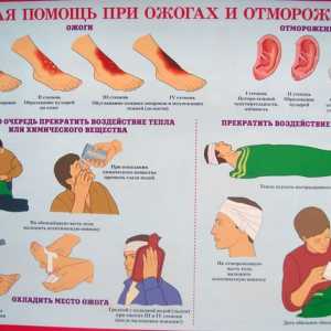 Hitna medicinska pomoć. CPR i prva pomoć