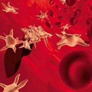 Niska razina trombocita u krvi