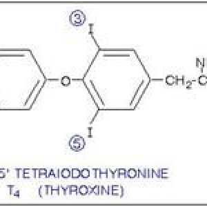 T4 hormona norma slobodna u krvi žena