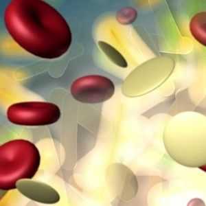 Norma leukociti u urinu ljudi, razloga za rast broja bijelih krvnih stanica.