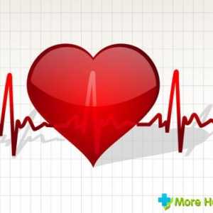 Normalno ljudsko srce: Ciklička i odstupanja