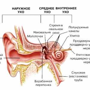 Strano tijelo u uhu