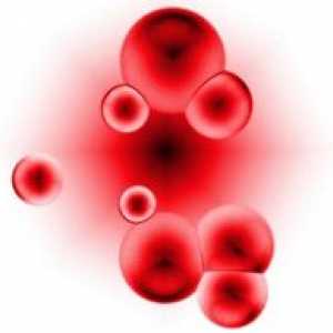 Podignite hemoglobina narodnih lijekova. anemija