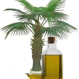 Korisne i štetne svojstva palminog ulja